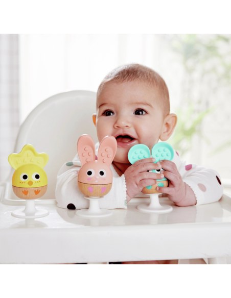 set-sonajero-mordedor-hape