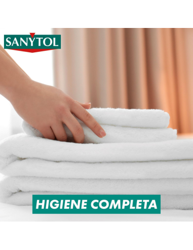 quitamanchas-sanytol-450gr