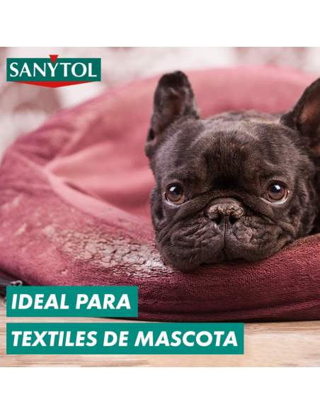 quitamanchas-sanytol-450gr