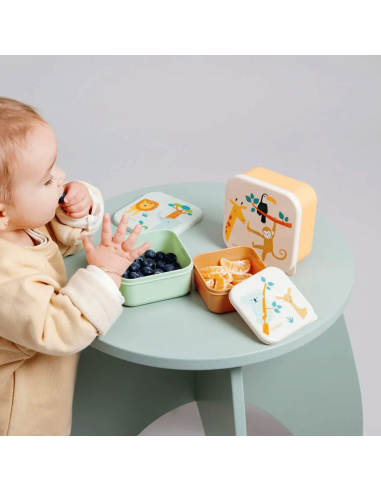 Cajitas para almuerzo snack box Jungle 6M+ | Miniland - Nappy.es