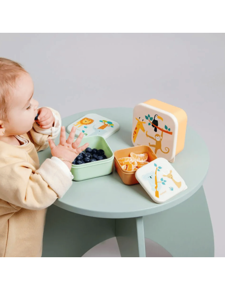 Cajitas para almuerzo snack box Jungle 6M+ | Miniland - Nappy.es