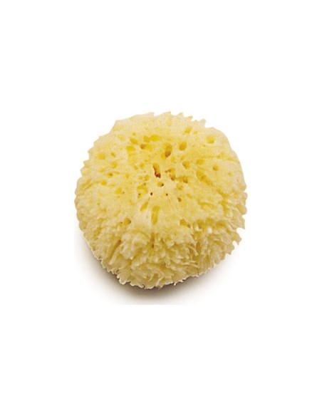 esponja-natural-marina-olmitos